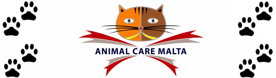 Animal Care Malta - Home